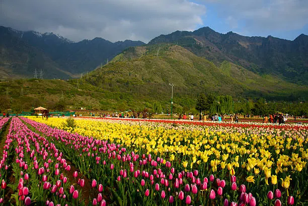 Travel Image 10
