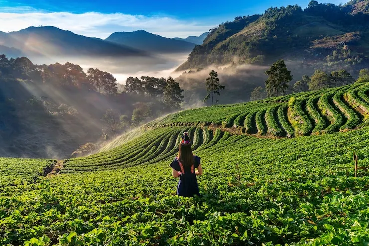 Ooty