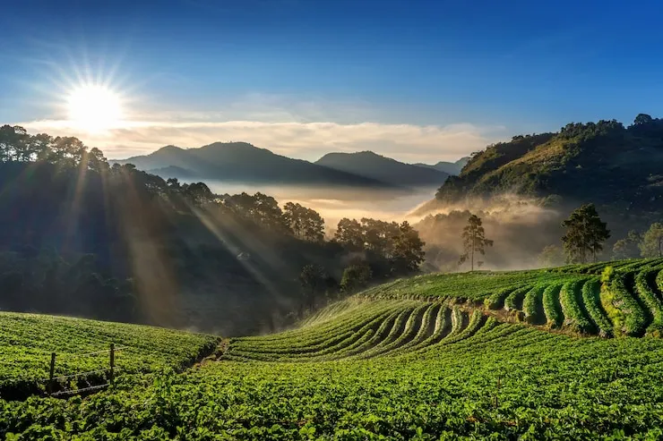 Travel Image 10